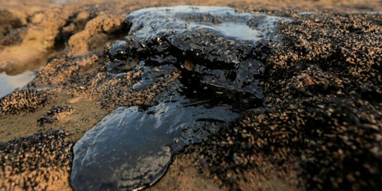 Asegura que derrame de hidrocarburos producen daños al ambiente