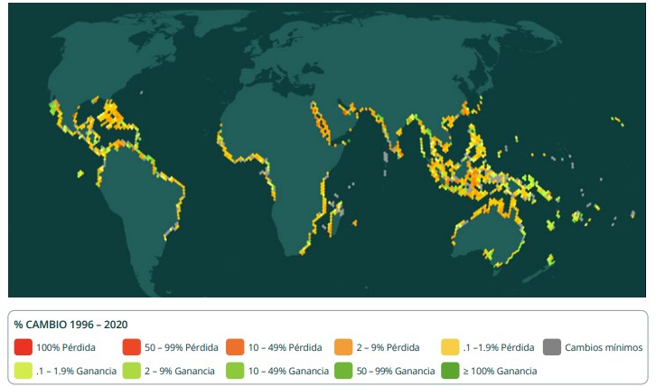 Cambios en la superficie de manglare de 1996 a 2020. (Fuente: El estado de los manglares del mundo 2022, elaborado por la Alianza Mundial por los Manglares).