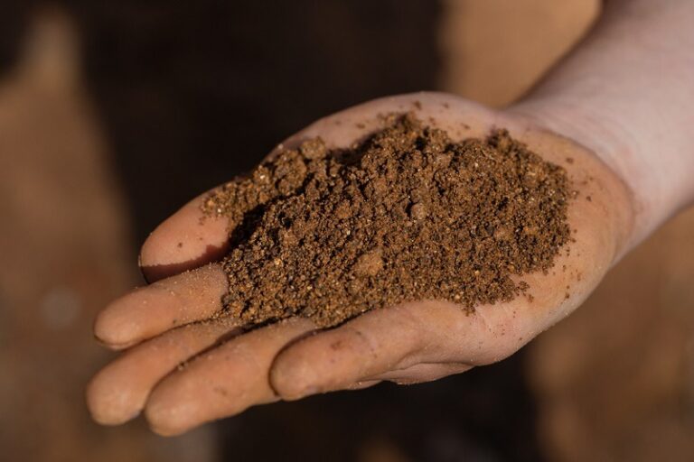RD ha invertido US$40 millones en exploración de tierras raras y prevé otros US$40 millones en 2027