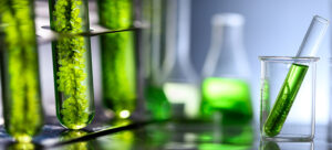 Biocombustibles liquidos