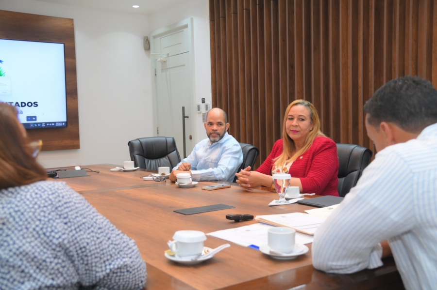 La Cámara de Diputados analiza un proyecto de resolución que propone conectar el distrito José Francisco Peña Gómez al Sistema Eléctrico Nacional Interconectado (SENI).