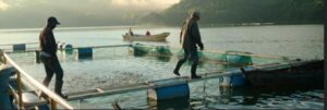 Sensores y telemetría para monitorear agua
